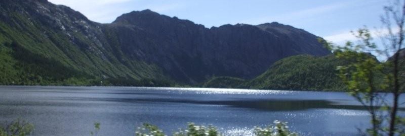 Panorama delle isole Lofoten