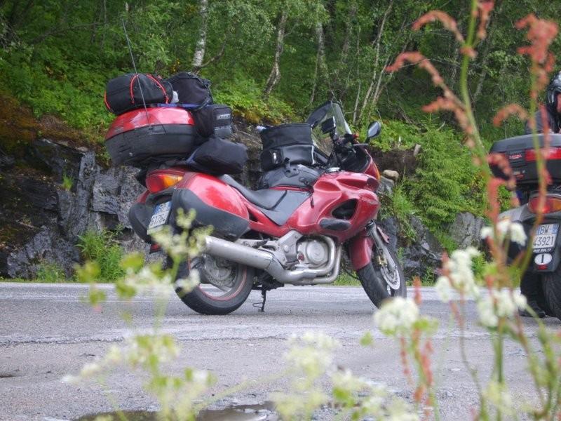 Va....lentina sulla RT 17 verso le isole Lofoten